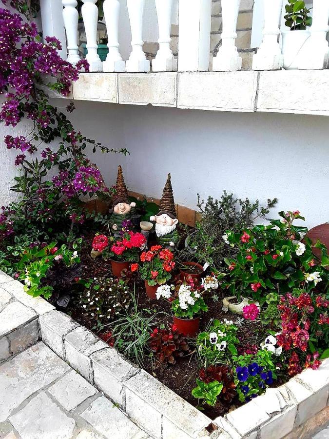 Apartmani Tamara Teodo Esterno foto