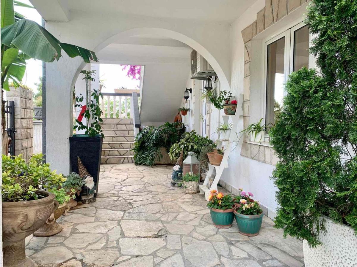 Apartmani Tamara Teodo Esterno foto